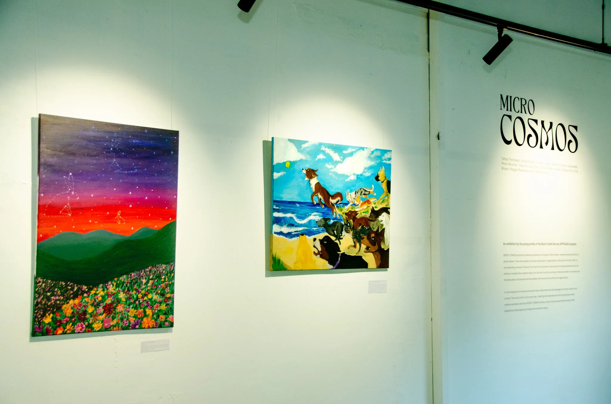 gallary 38.jpg
