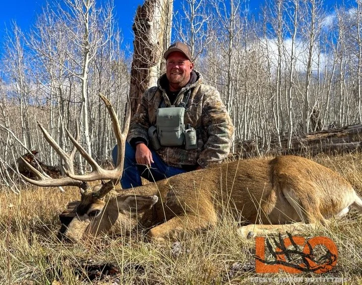 Untitled design.jpeg