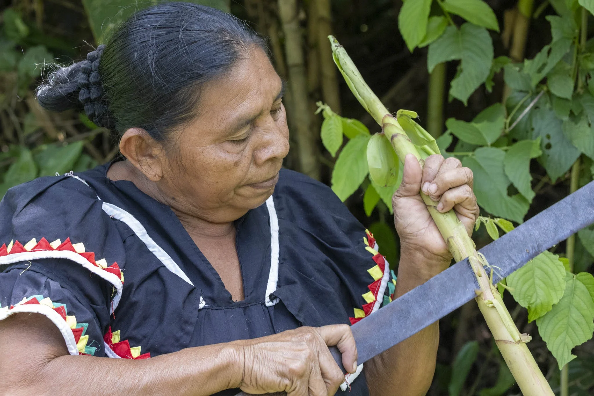 Bocas Del Toro, Panama