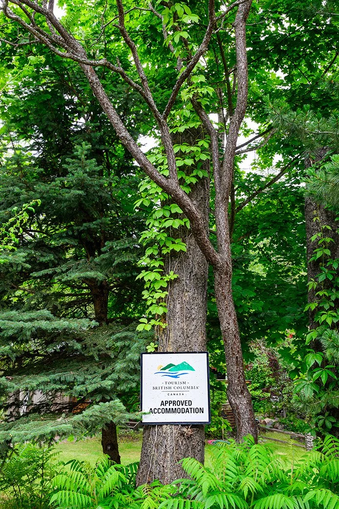 240619 _Z8D0358.jpeg