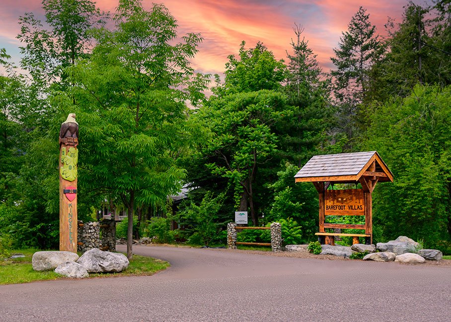 240619 _Z8D0340-Edit-Edit.jpeg