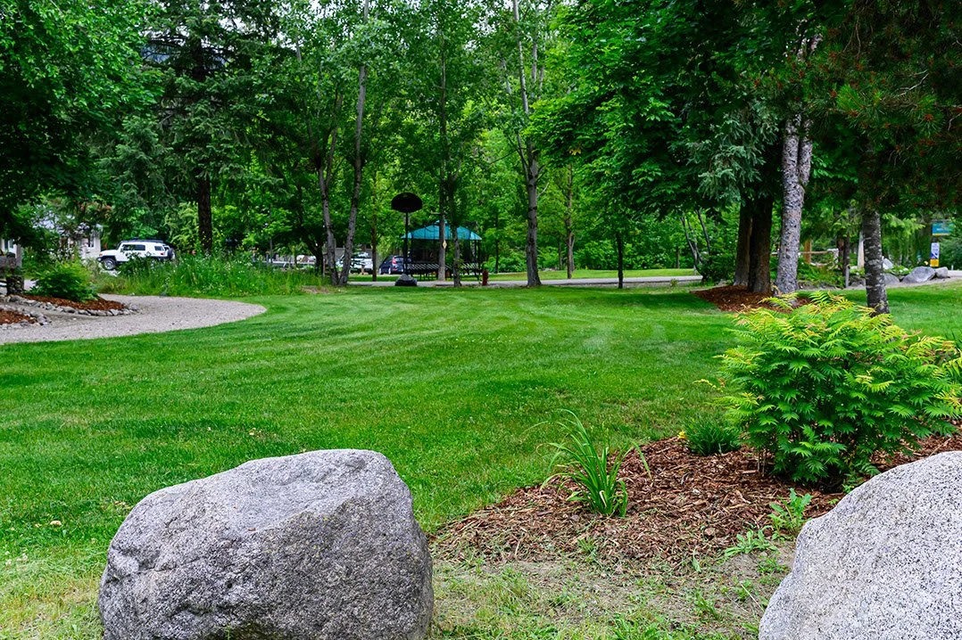 240619 _Z8D0383.jpeg