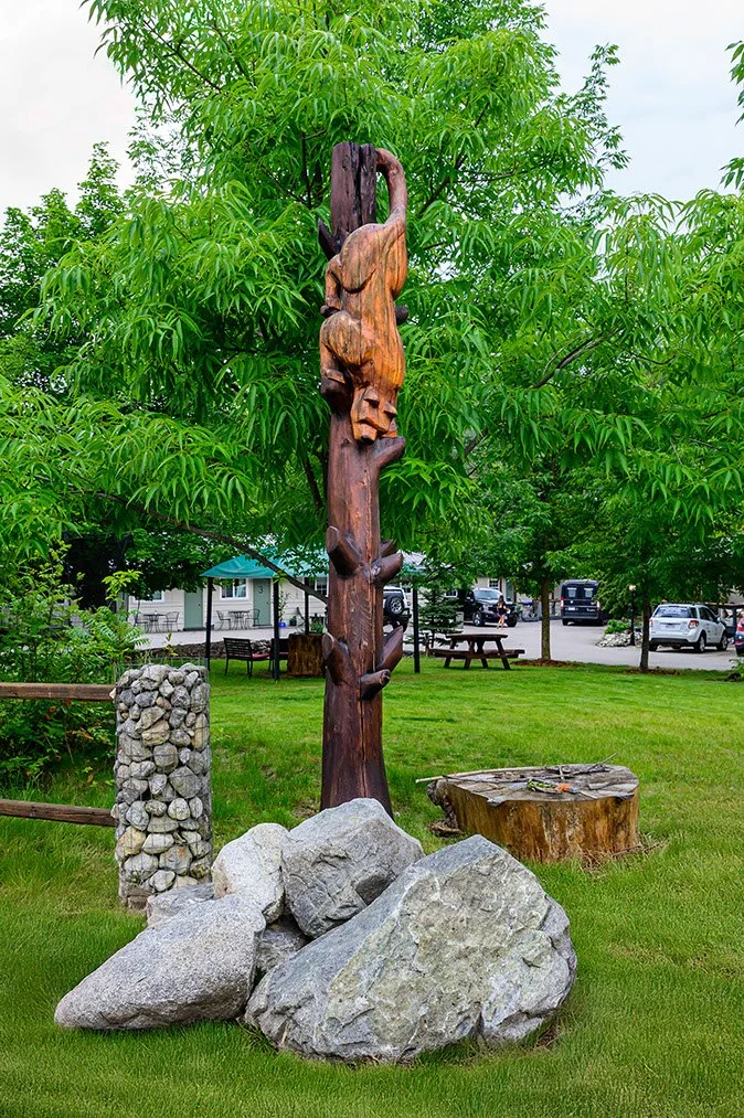 240619 _Z8D0364-Edit.jpeg