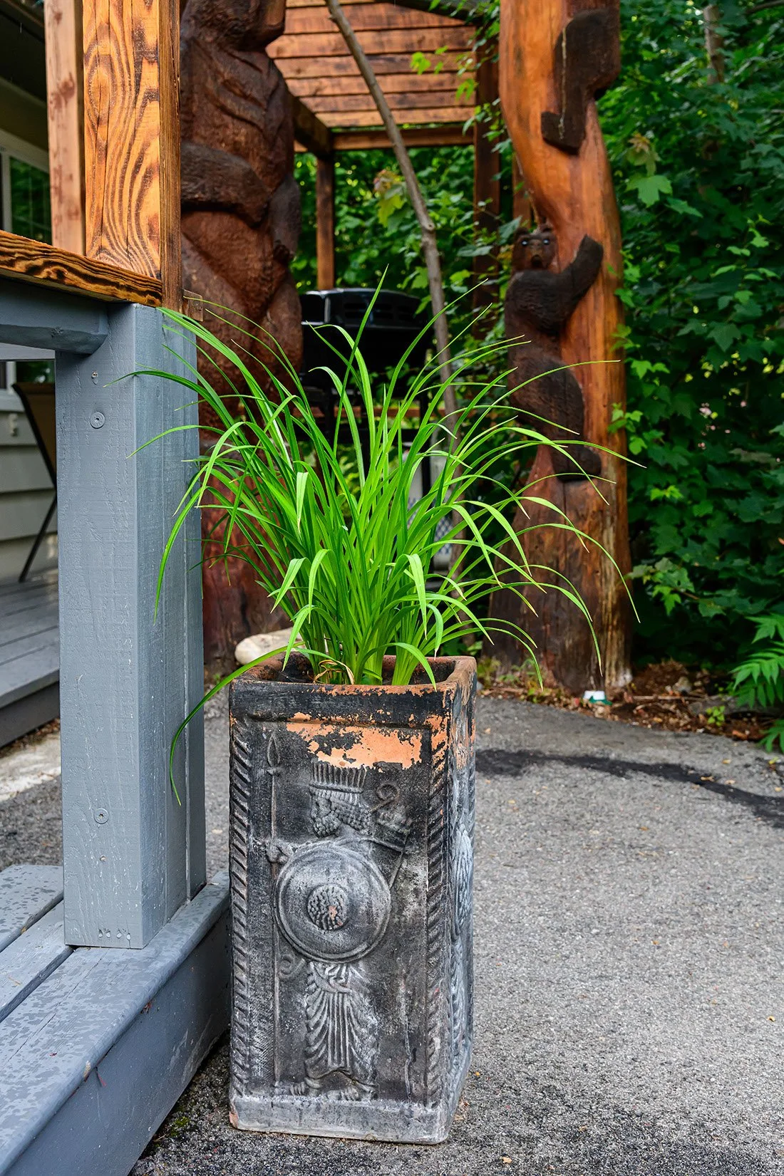 240619 850_7541.jpeg