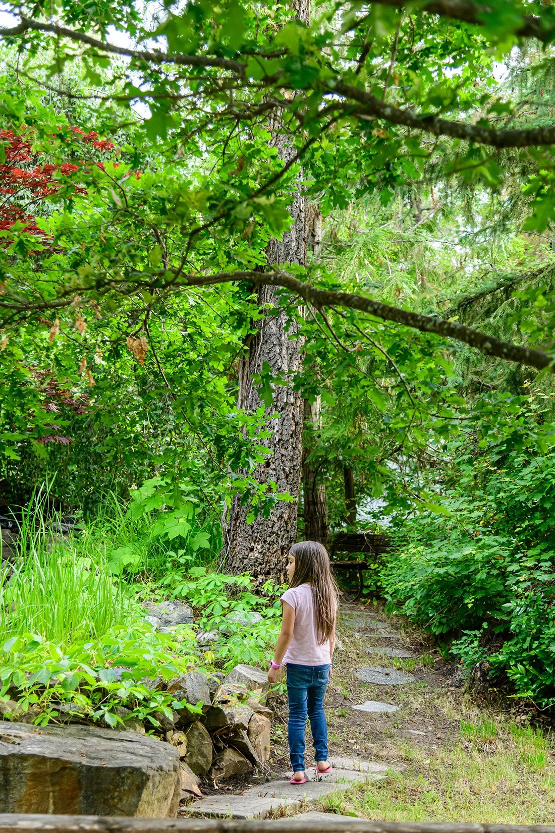 240619 850_7457.jpeg