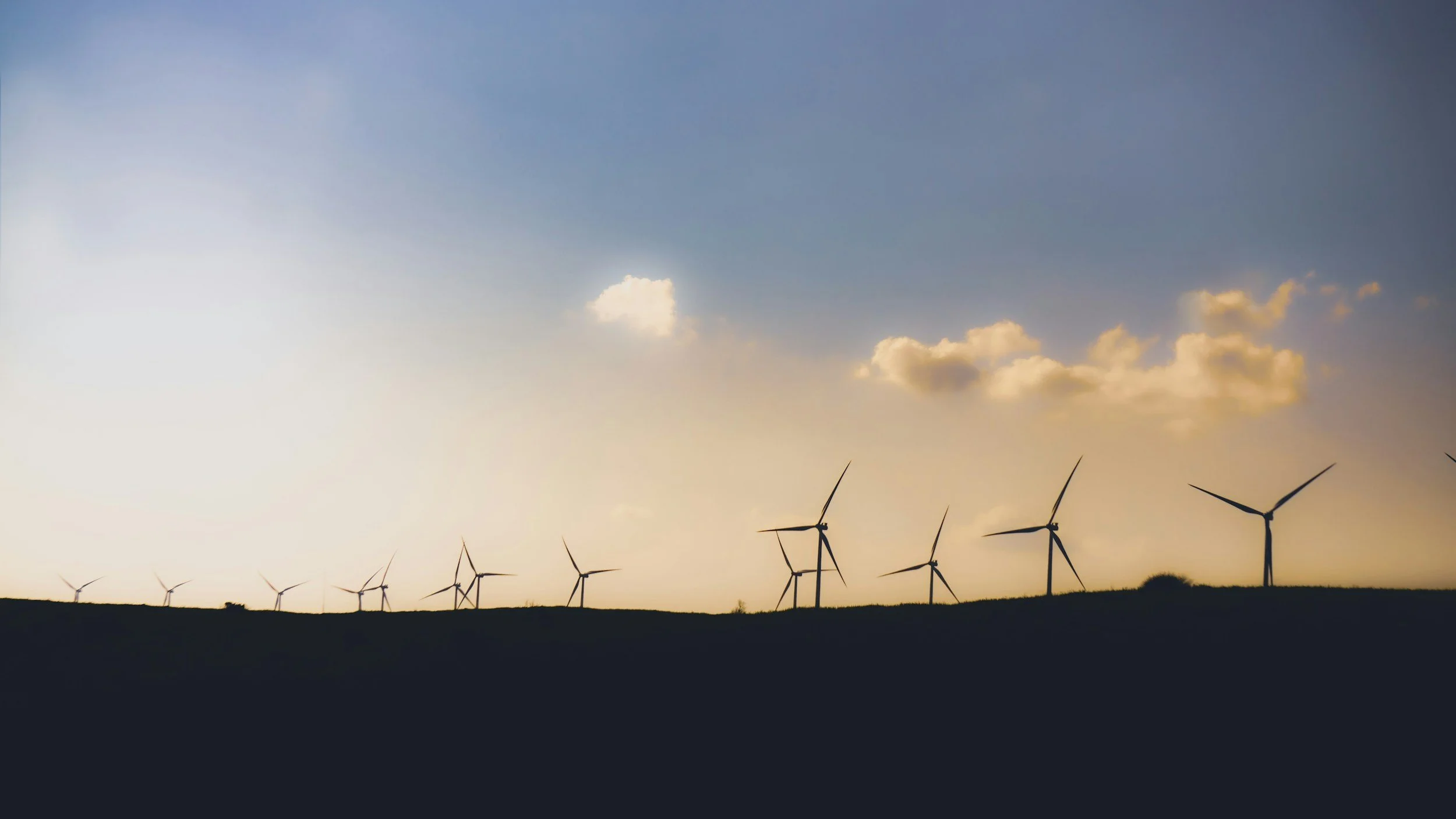 Hillside covered in wind turbines.