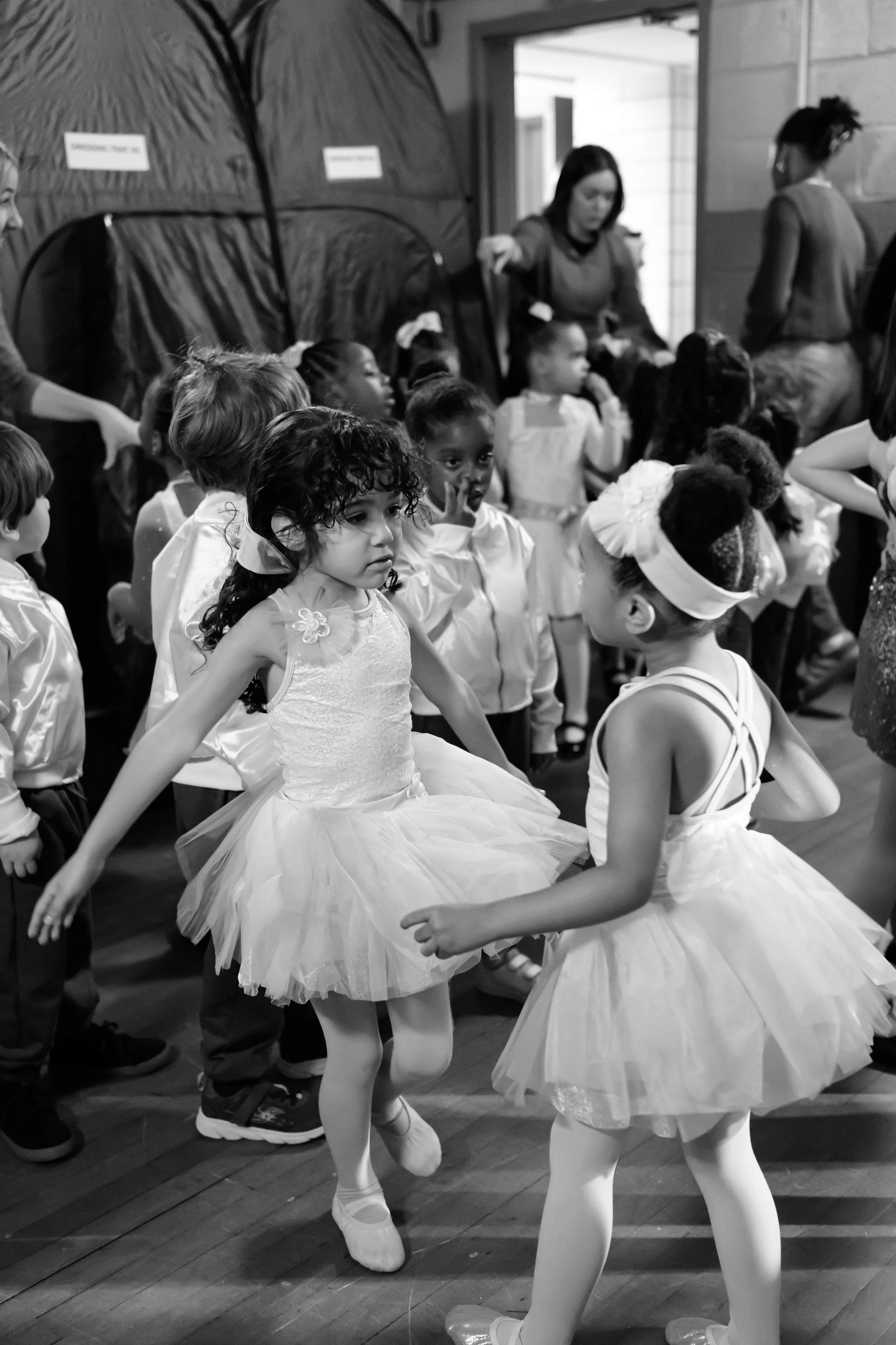 GreenhouseWinter2025_20251213_GraceCopeland_0142 (1).jpg