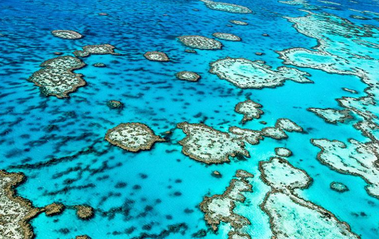 What Permits and Environmental Approvals Are Required for Marine Construction in Australia?