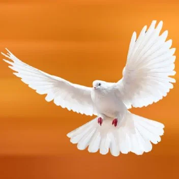 Spring Concert - Celebrating Hope