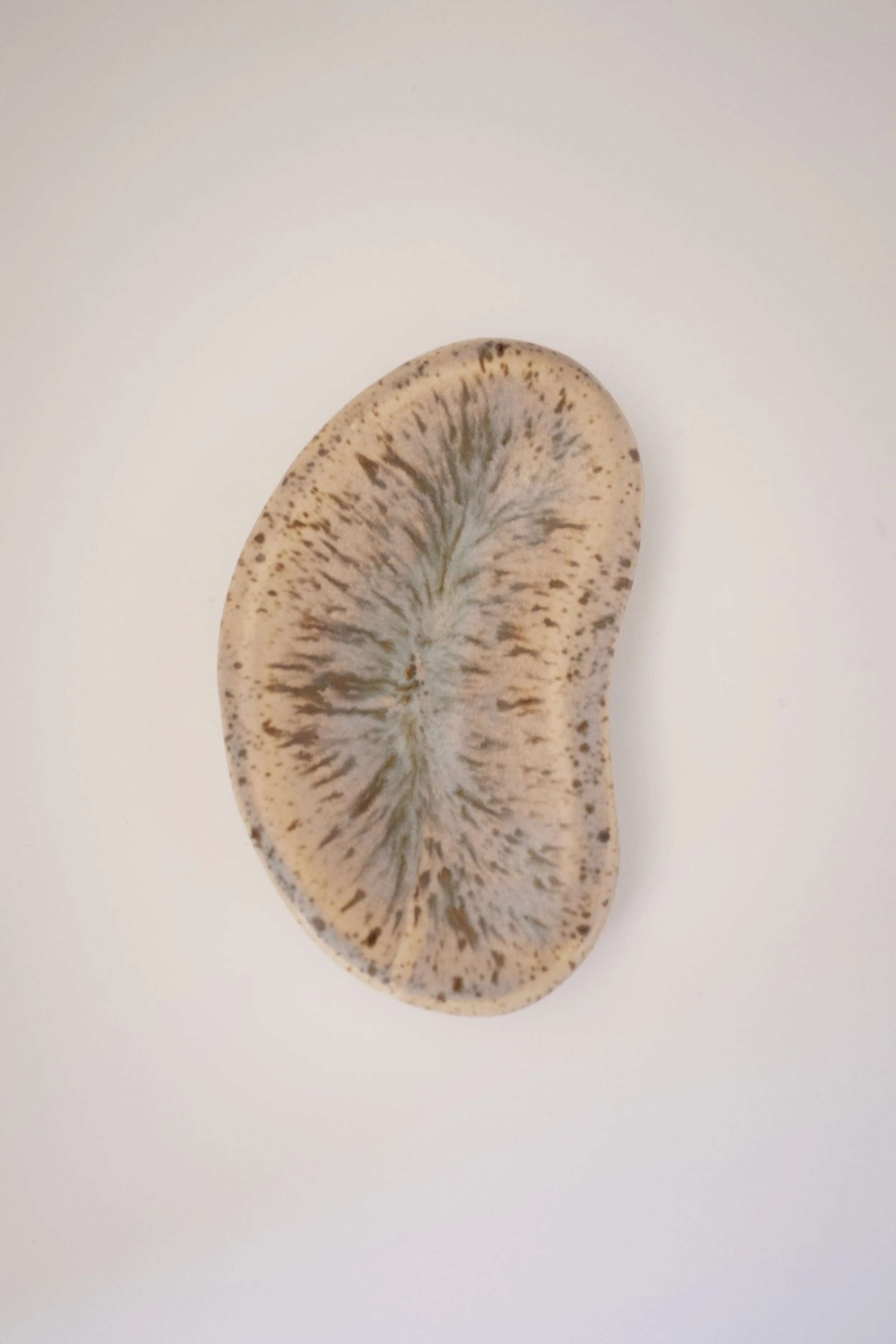 DSCF2120.jpg