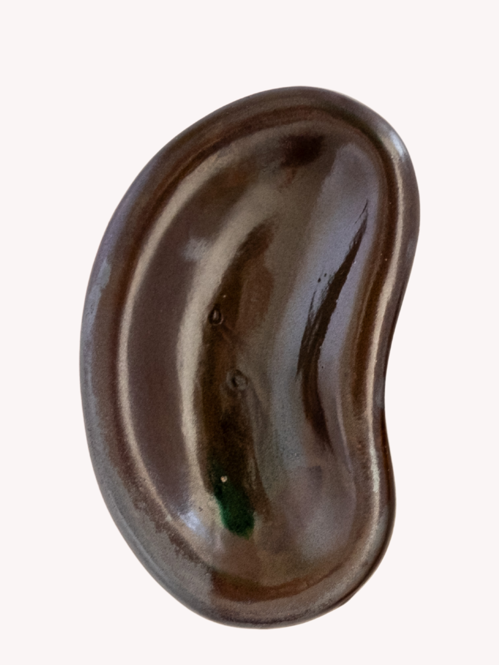 Bean Portfolio.png