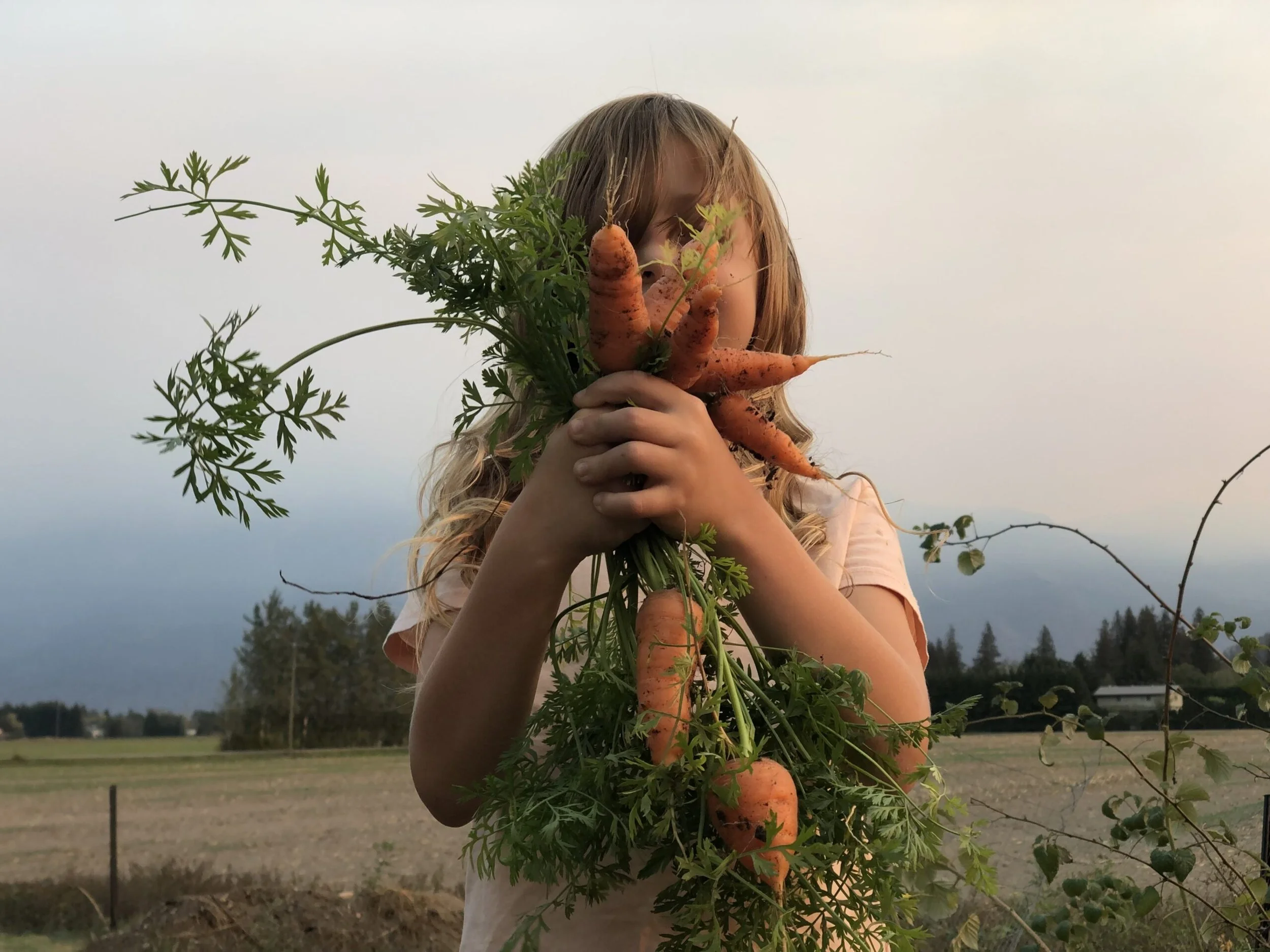 What We’ve Learned About Soil and Building Eco Systems on The Farm