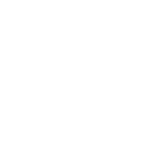 ballistic-custom-turrents-logo.png