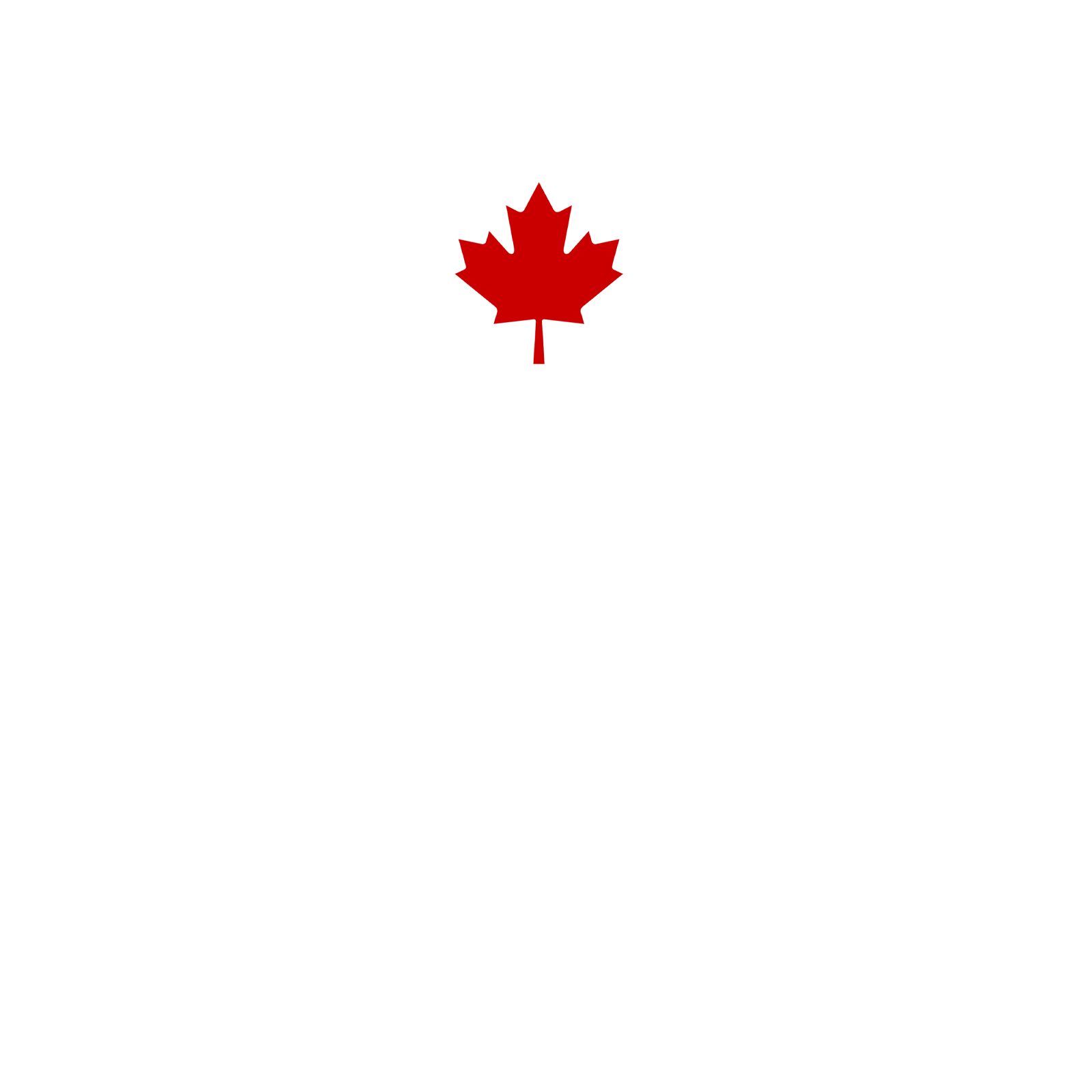 vortex-white.png