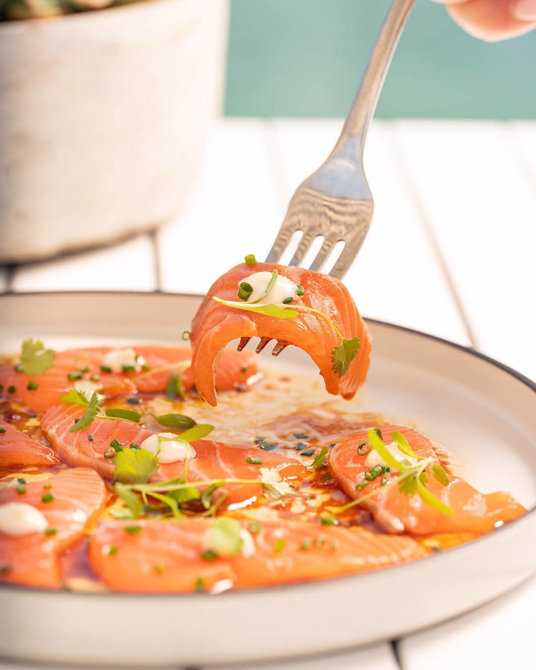 Fresh, zesty, and full of flavour. Our Salmon Sashimi is summer on a plate. Perfect with a view at St George Sailing Club.

+++
#sydneyeats #sydneydining #diningout #eat #sashimi #goodfood #waterfront #waterviews #seafood