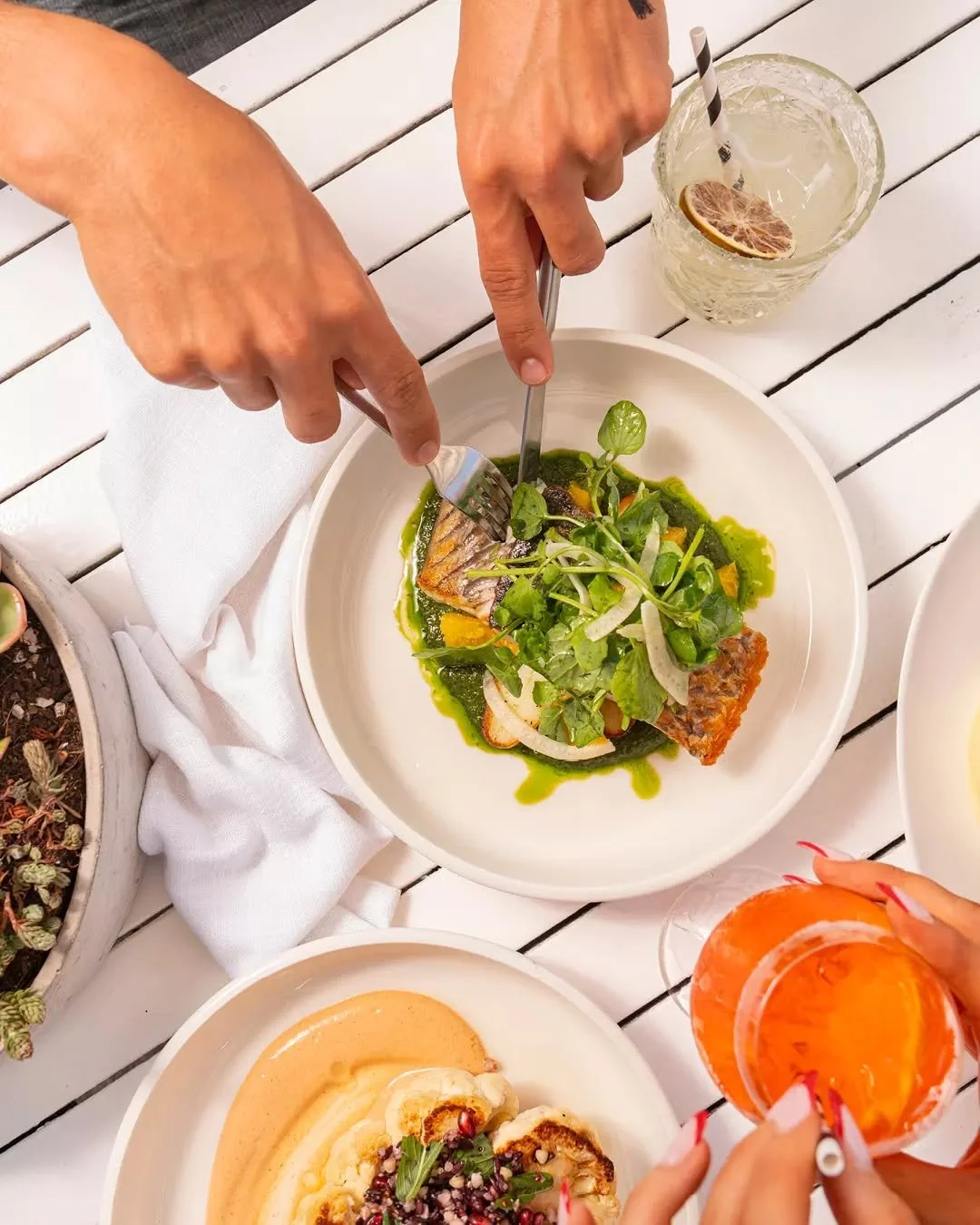 Crisp-skinned barramundi with herb salad, lemon, and kipfler potatoes. Fresh Australian barramundi, cooked to perfection.

This is coastal dining done right.