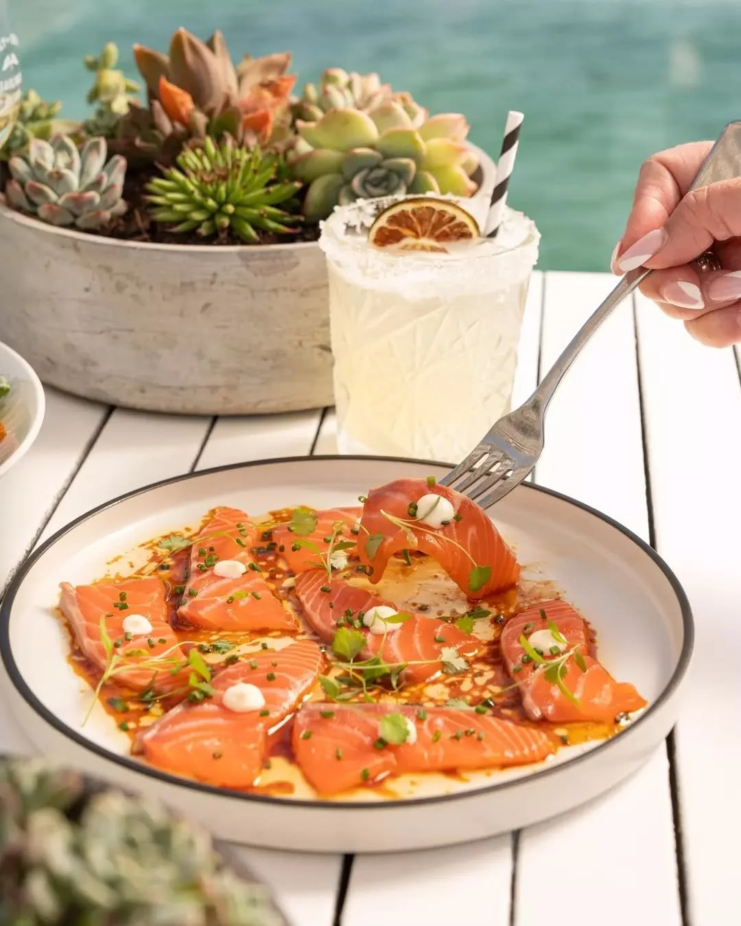 Fresh from the sea and made for autumn days.

Our salmon carpaccio is a seasonal  standout, paired perfectly with waterfront views and a signature cocktail.