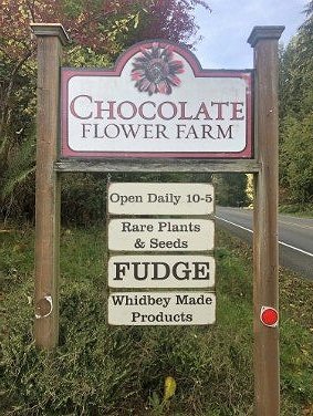 Chocolate Flower Farm on Whidbey Island in Washington