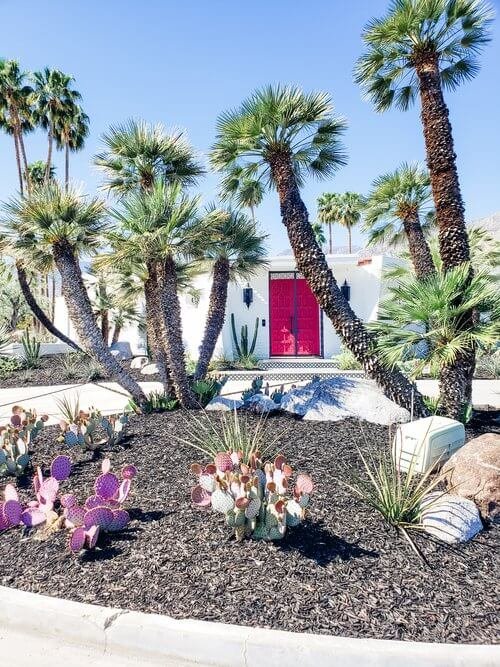 Pink door house in Palm Springs