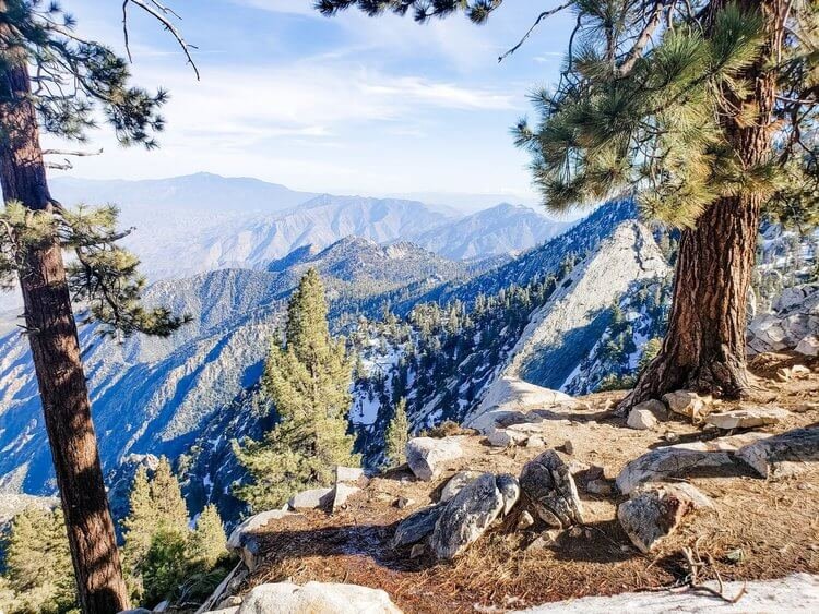 Lookout point at Mount San Jacinto State Park