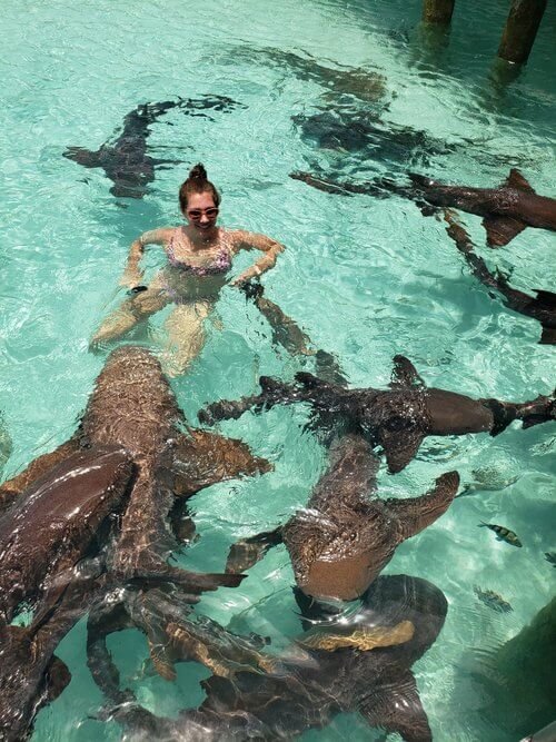 Swimming with nurse sharks in the Bahamas