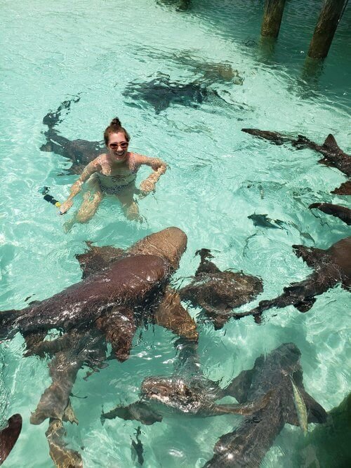 Swimming with sharks Compass Cay Bahamas