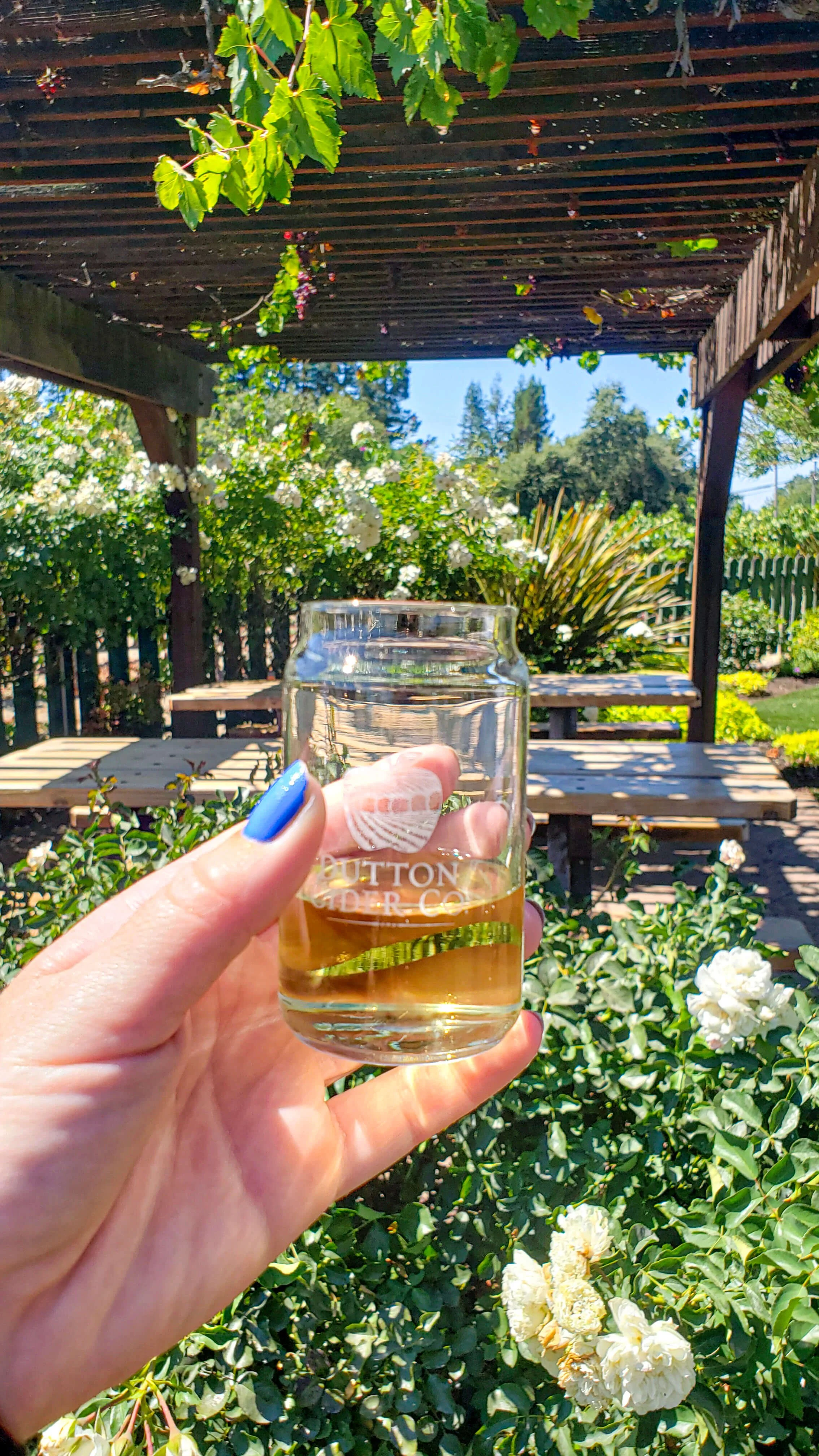 6 Amazing Sonoma County Wineries You Should Visit List of Sonoma Wineries — Traveling Tessie