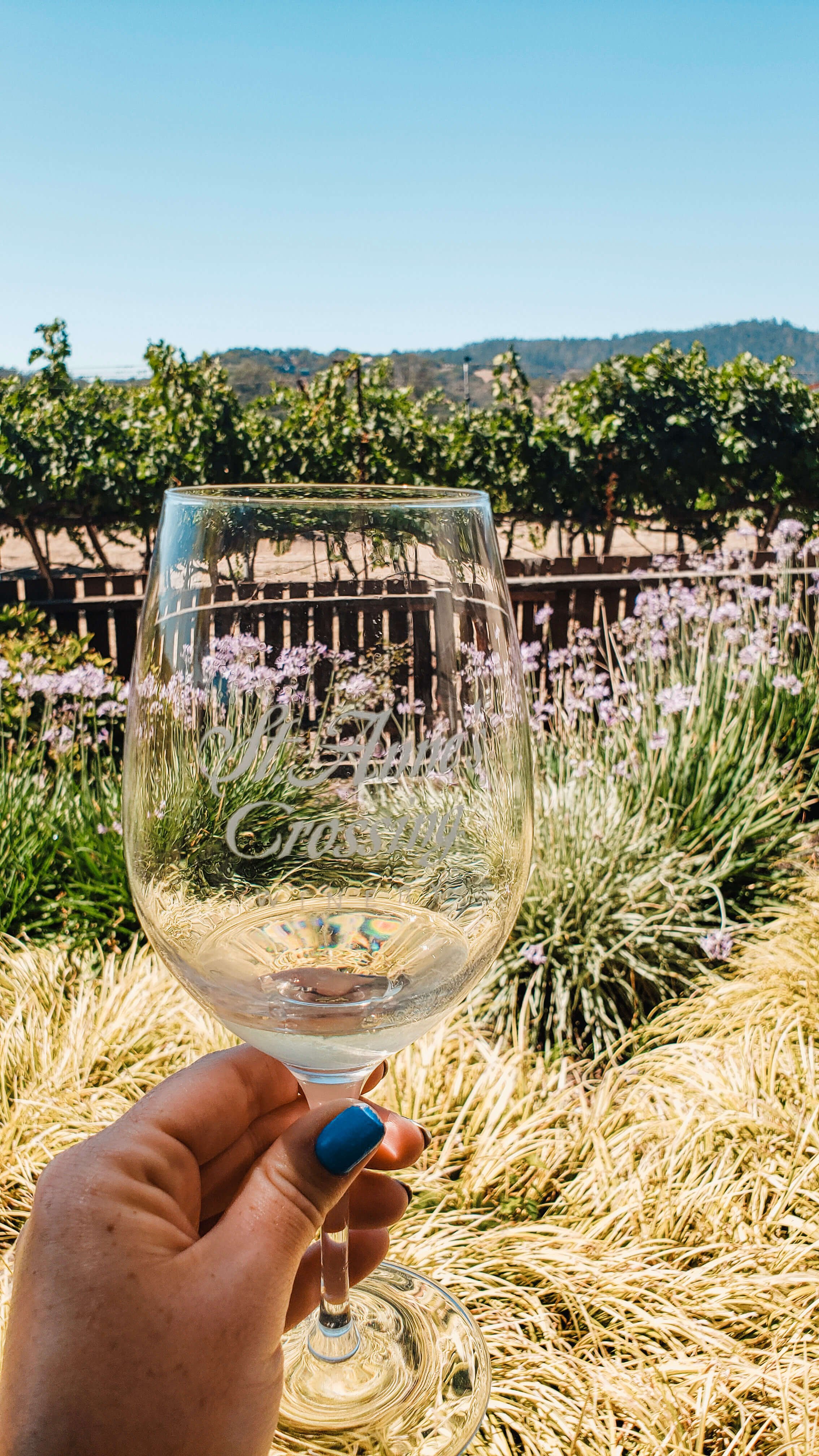 Sonoma's top wineries - St. Anne's Crossing in Sonoma County