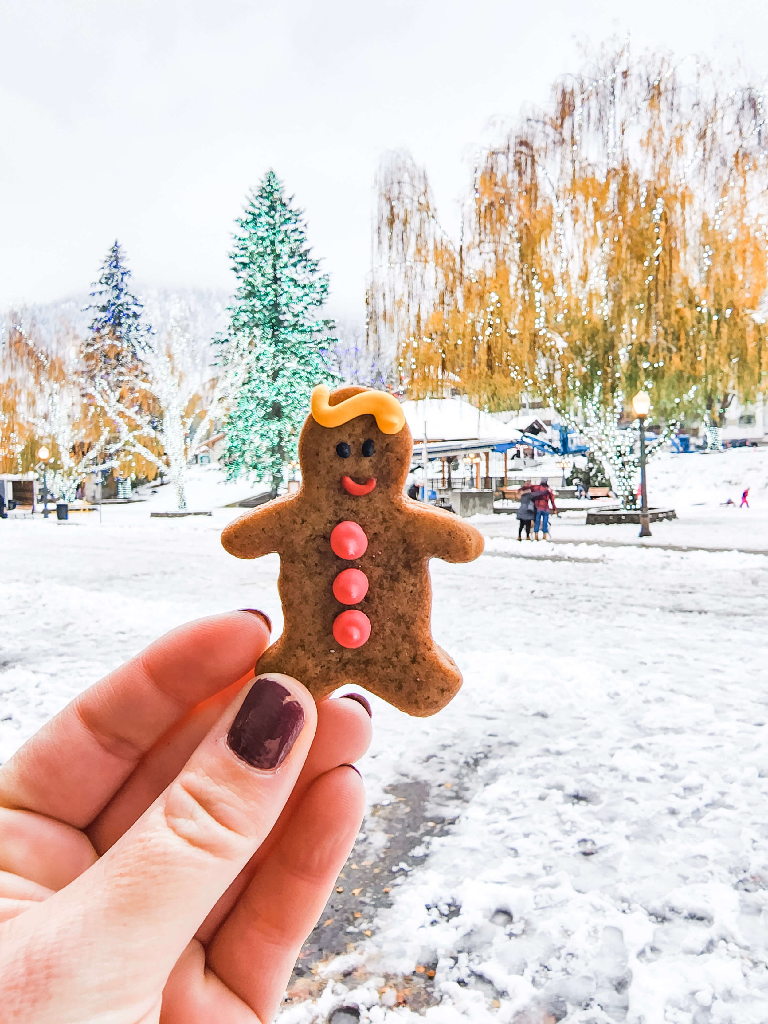 Gingerbread Cookie in Leavenworth.jpg