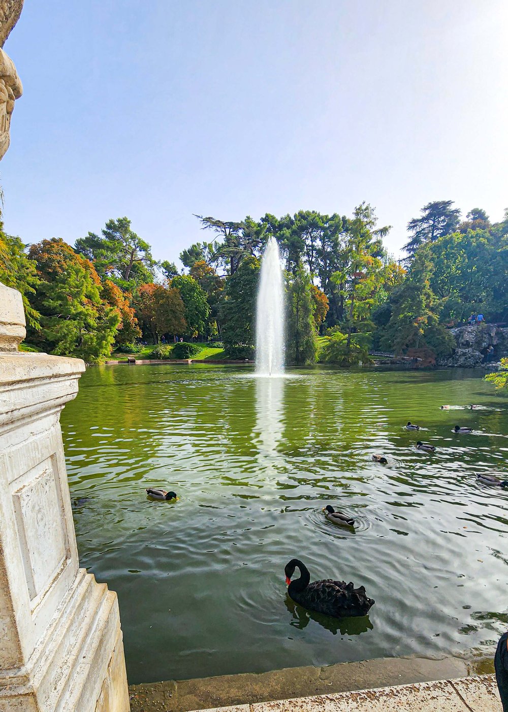 El Retiro Park in Madrid