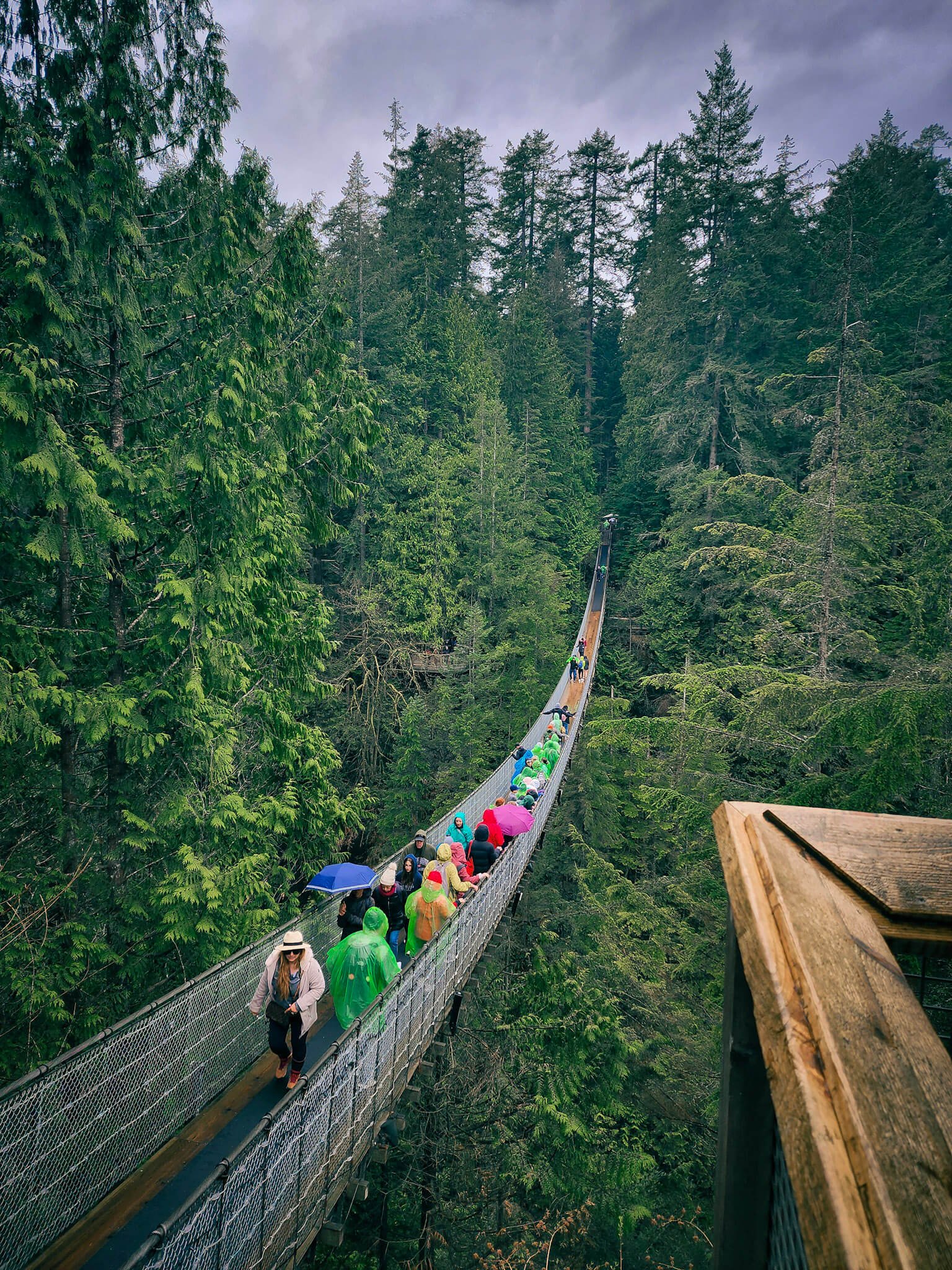 Capilano Suspension bridge in North Vancouver