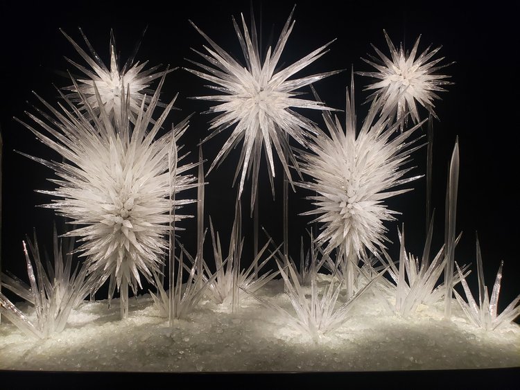 White glass sculptures at Chihuly Garden &amp; Glass
