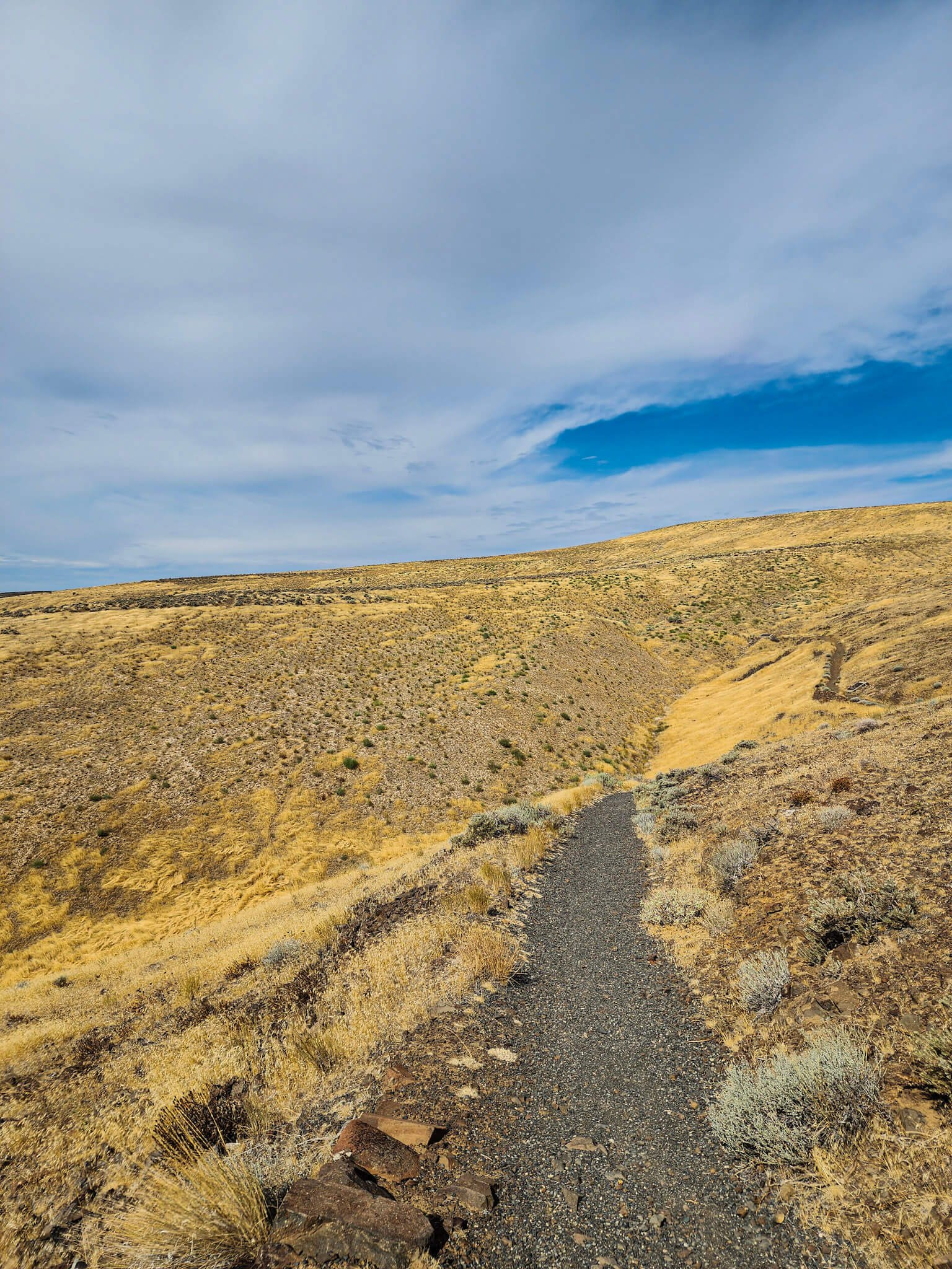 Gingko Petrified Forest State Park