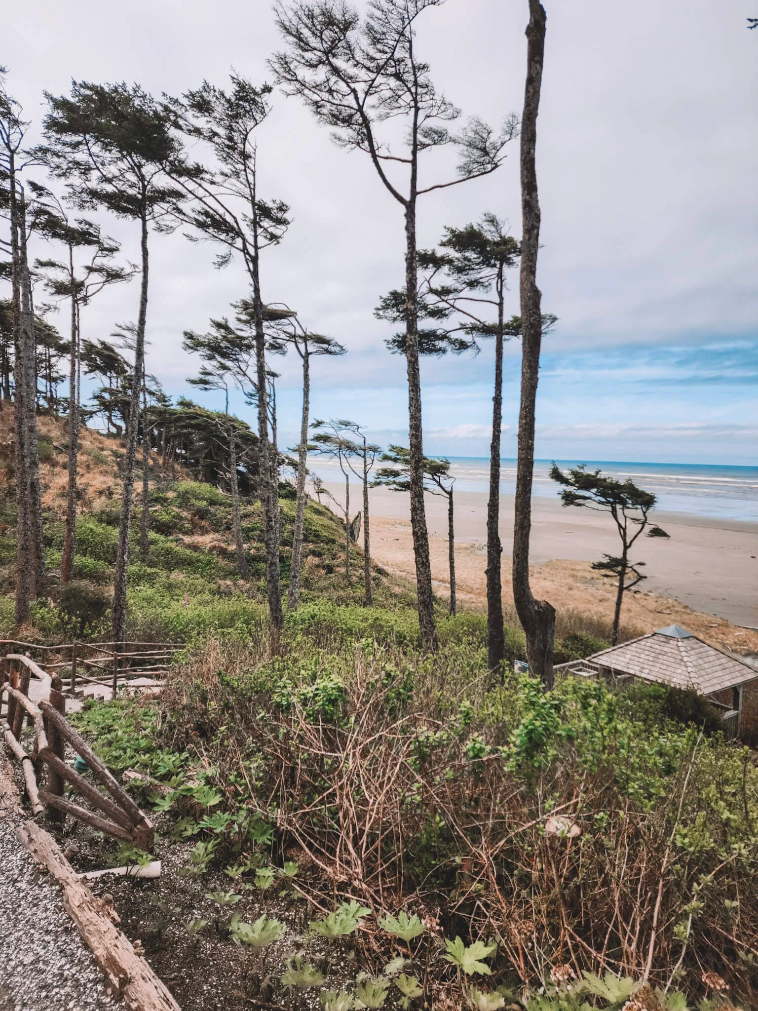 Pathway to beach in Seabrook, WA
