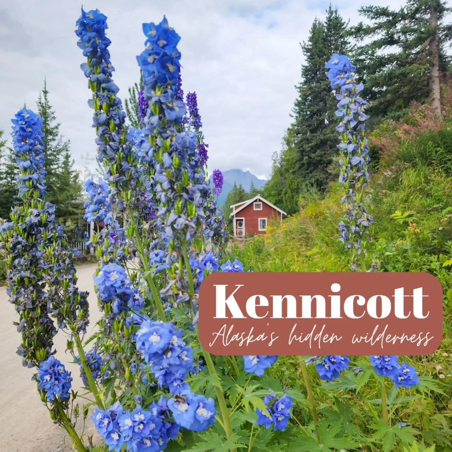 ⛰️ Spending the last few days in McCarthy &amp; Kennicott has been an adventure like no other.

Once a booming copper mining camp in the early 1900s, the Kennicott Mill still towers above the valley today, weathered, iconic, and almost frozen in time