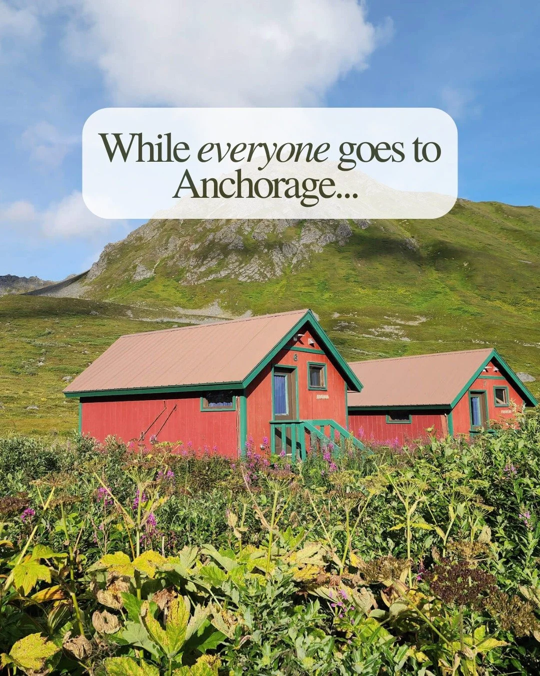 While everyone else is navigating the tourist scene, you're kayaking glassy waters with mountain reflections, paddleboarding on actual glaciers, and exploring Hatcher Pass without fighting for parking.

Here's your comprehensive Palmer guide:

KAYAKI