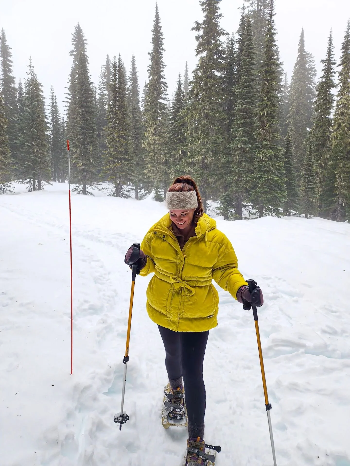 If you've only seen Mt. Rainier in summer, you're missing the best part.

Winter transforms Paradise into something straight out of a snowglobe. 

Snowshoeing here isn't technical or intimidating. It's just you, the snow, and the views that make you 