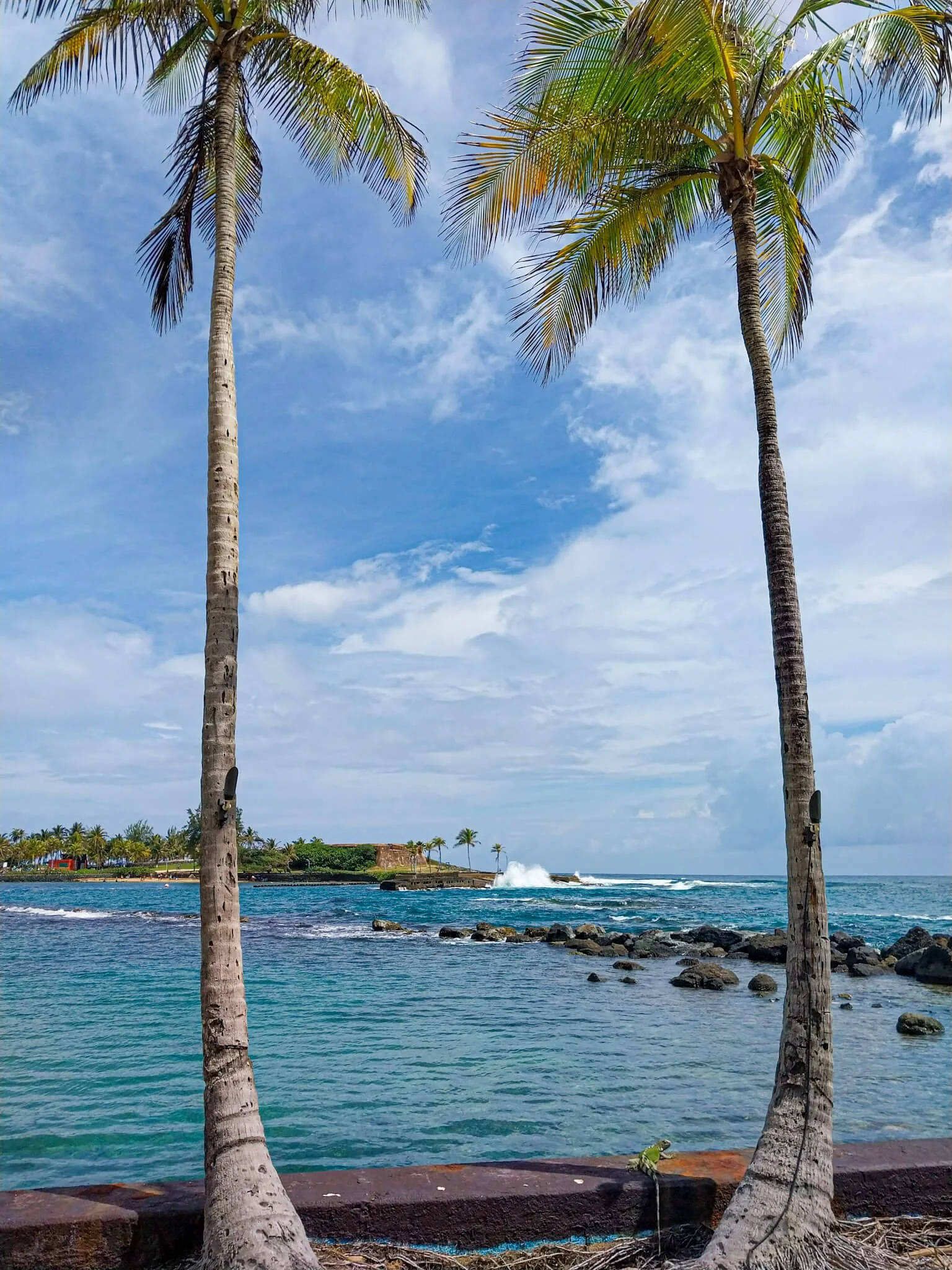 Ocean View Caribe Hilton San Juan.jpg