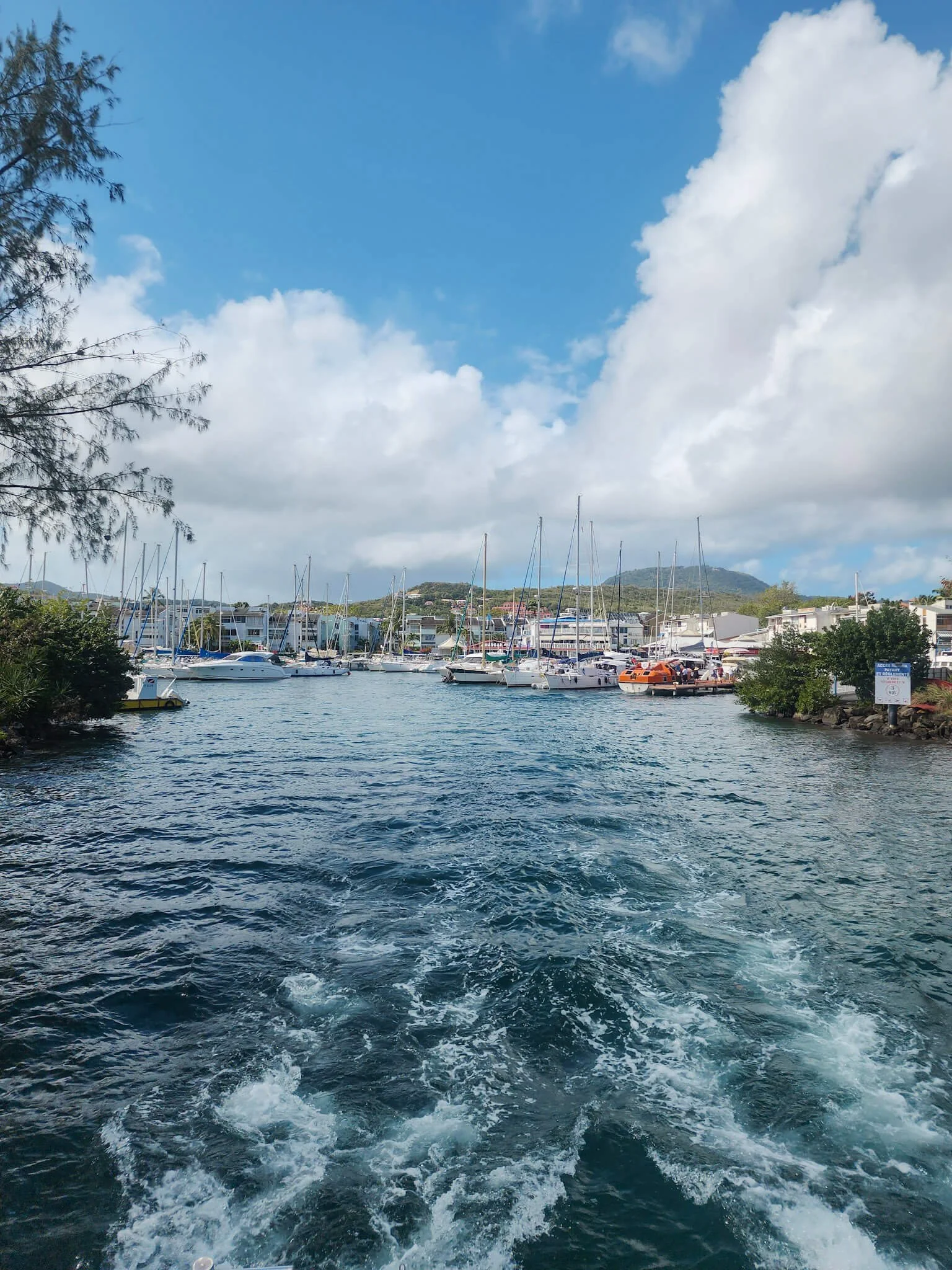 Snorkel Tour Martinique.jpg