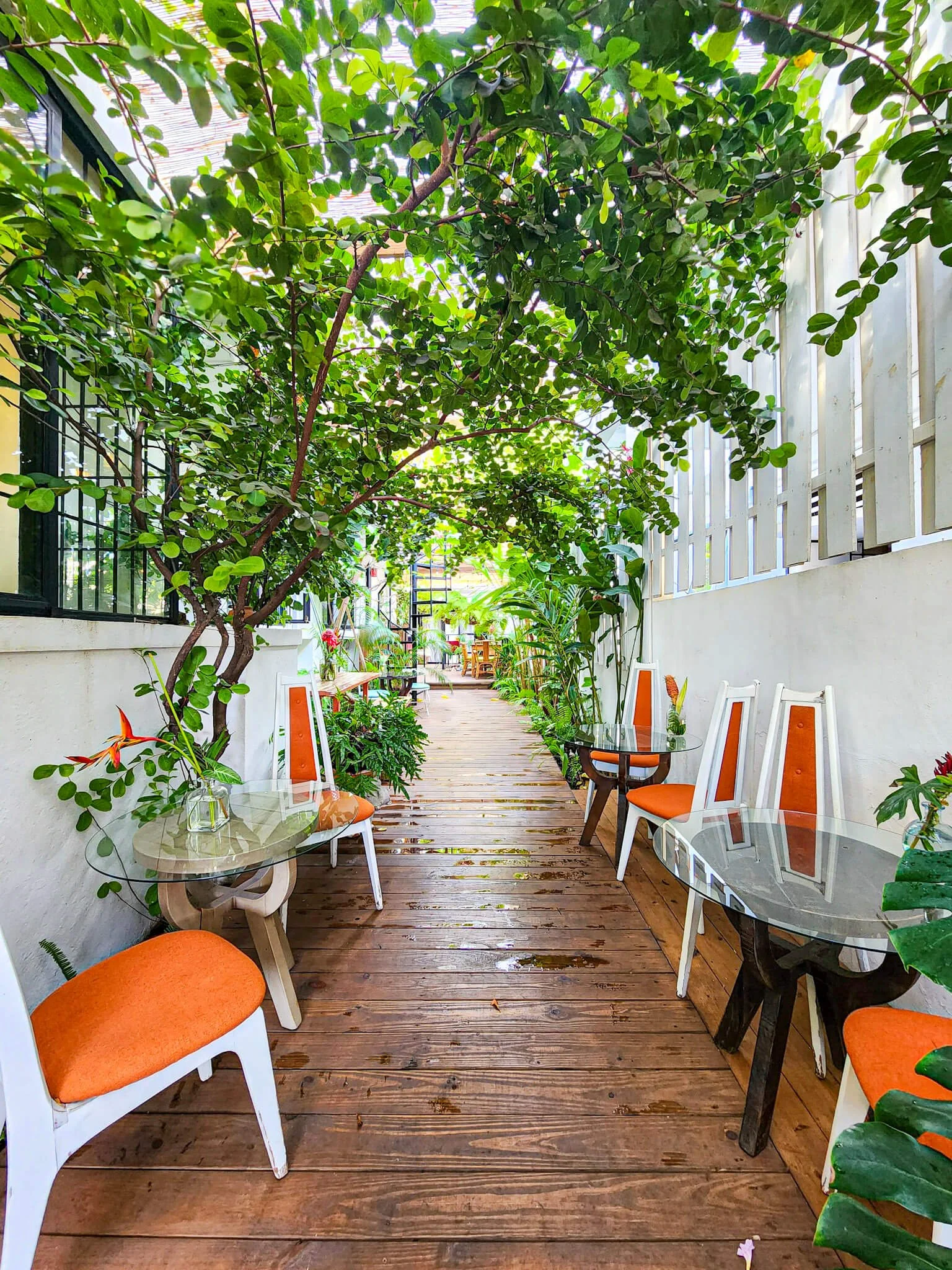 Outdoor dining area at La Botanica.jpg