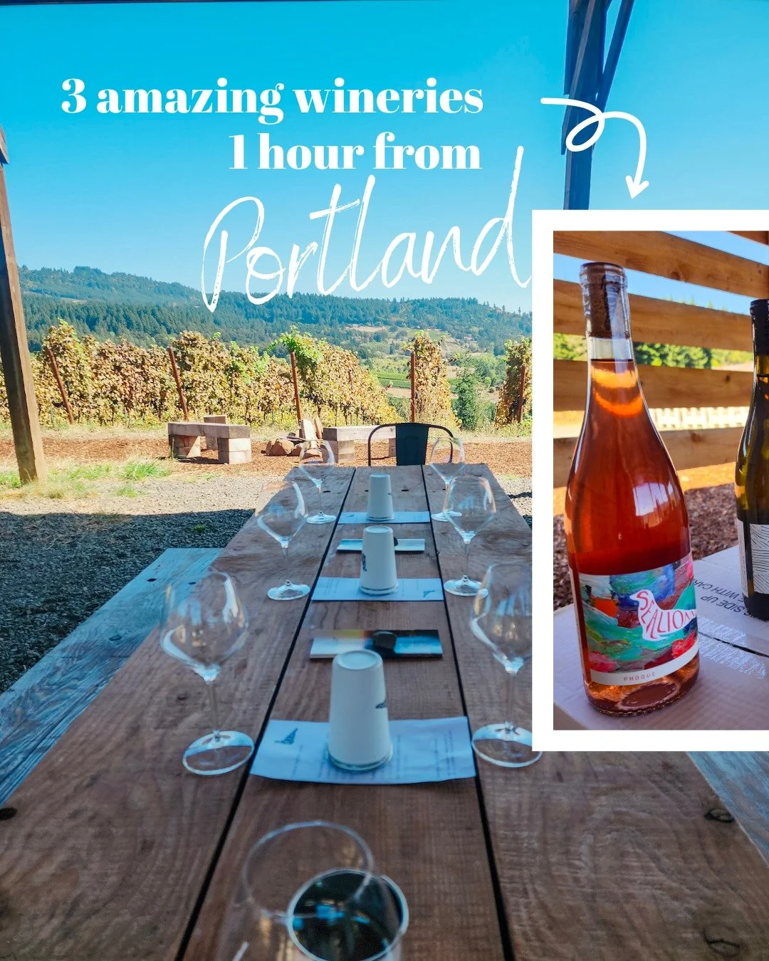 You don't need to commit to a full Willamette Valley weekend to get incredible wine tasting near Portland.

Less than 1 hour outside the city, I found three wineries that delivered everything I want from wine country: beautiful settings, exceptional 