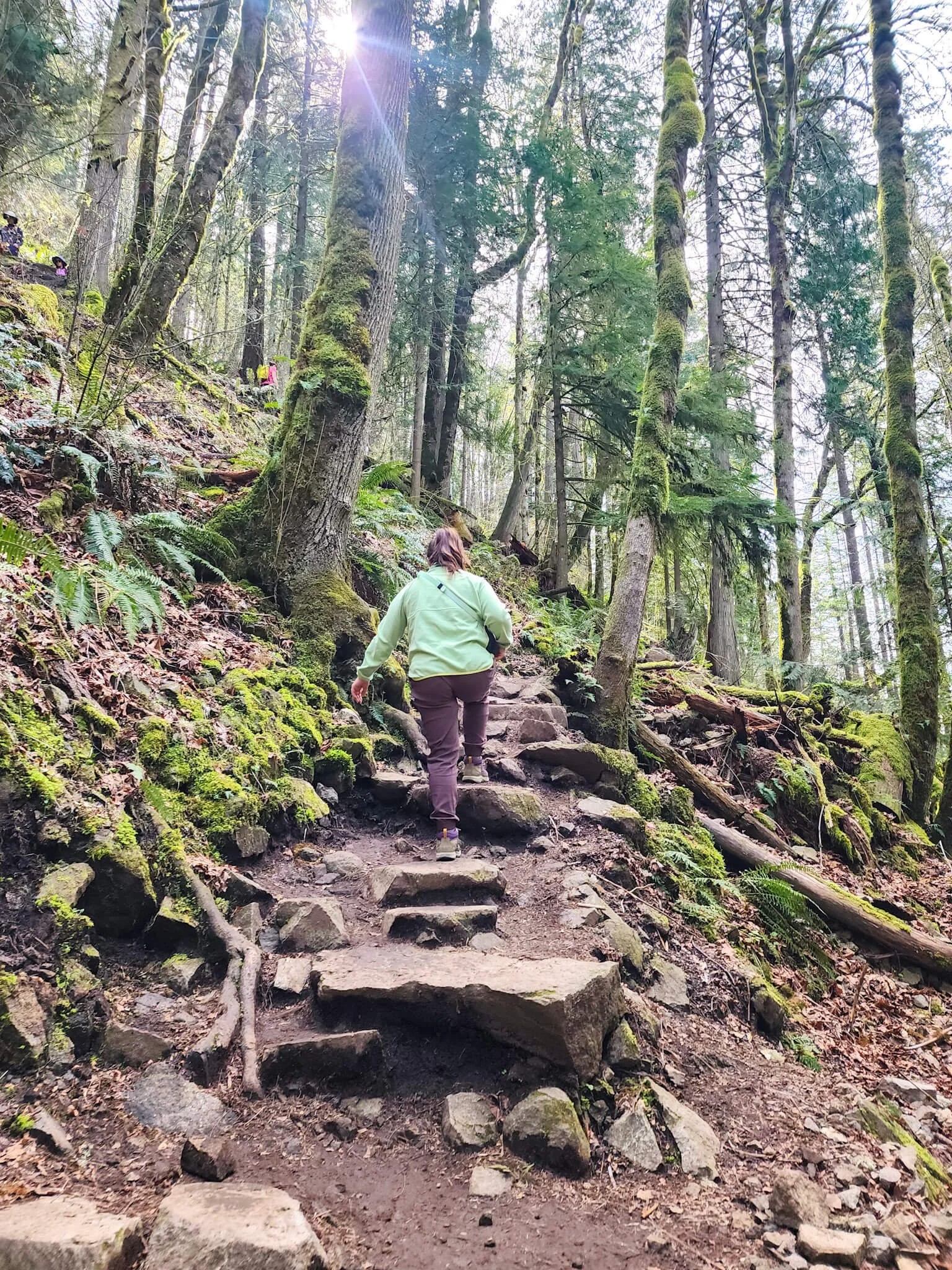 Traveling Tessie hiking in Kuhl Haven Jogger.jpg