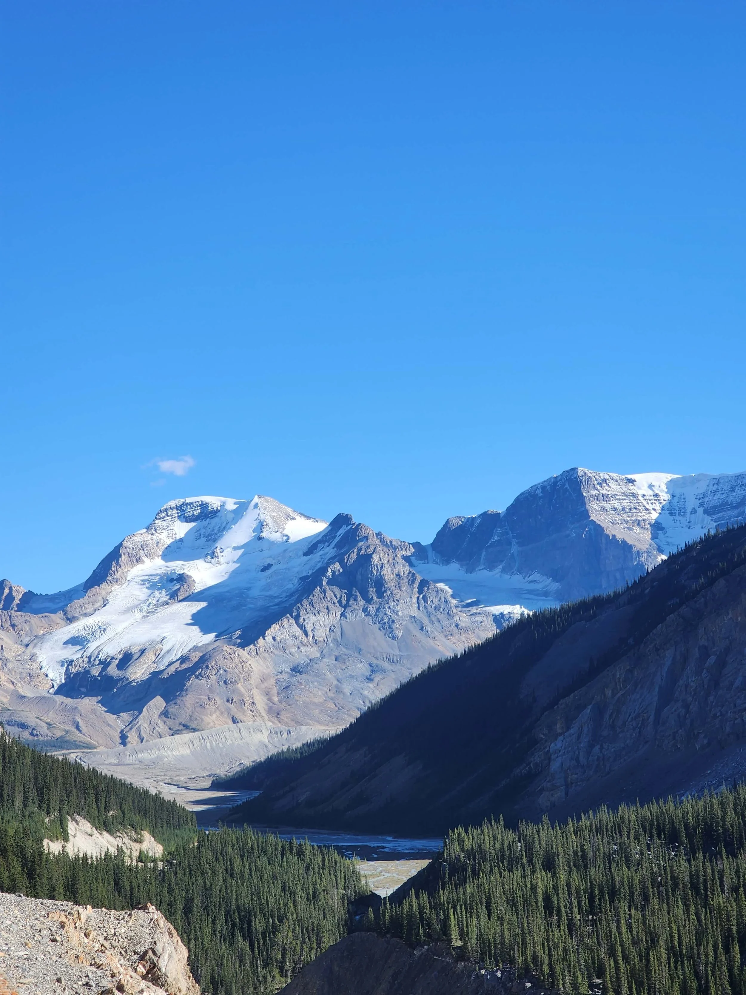 Glacier view from Peyto Lake Viewpoint