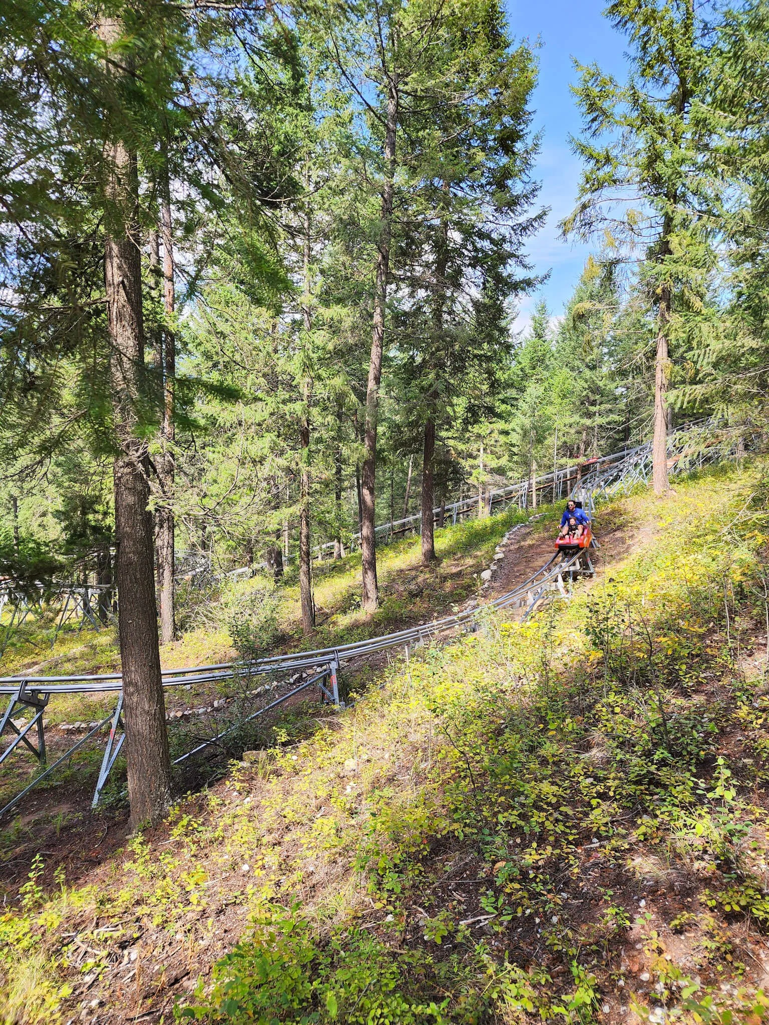 Alpine Coaster Golden Skybridge.jpg