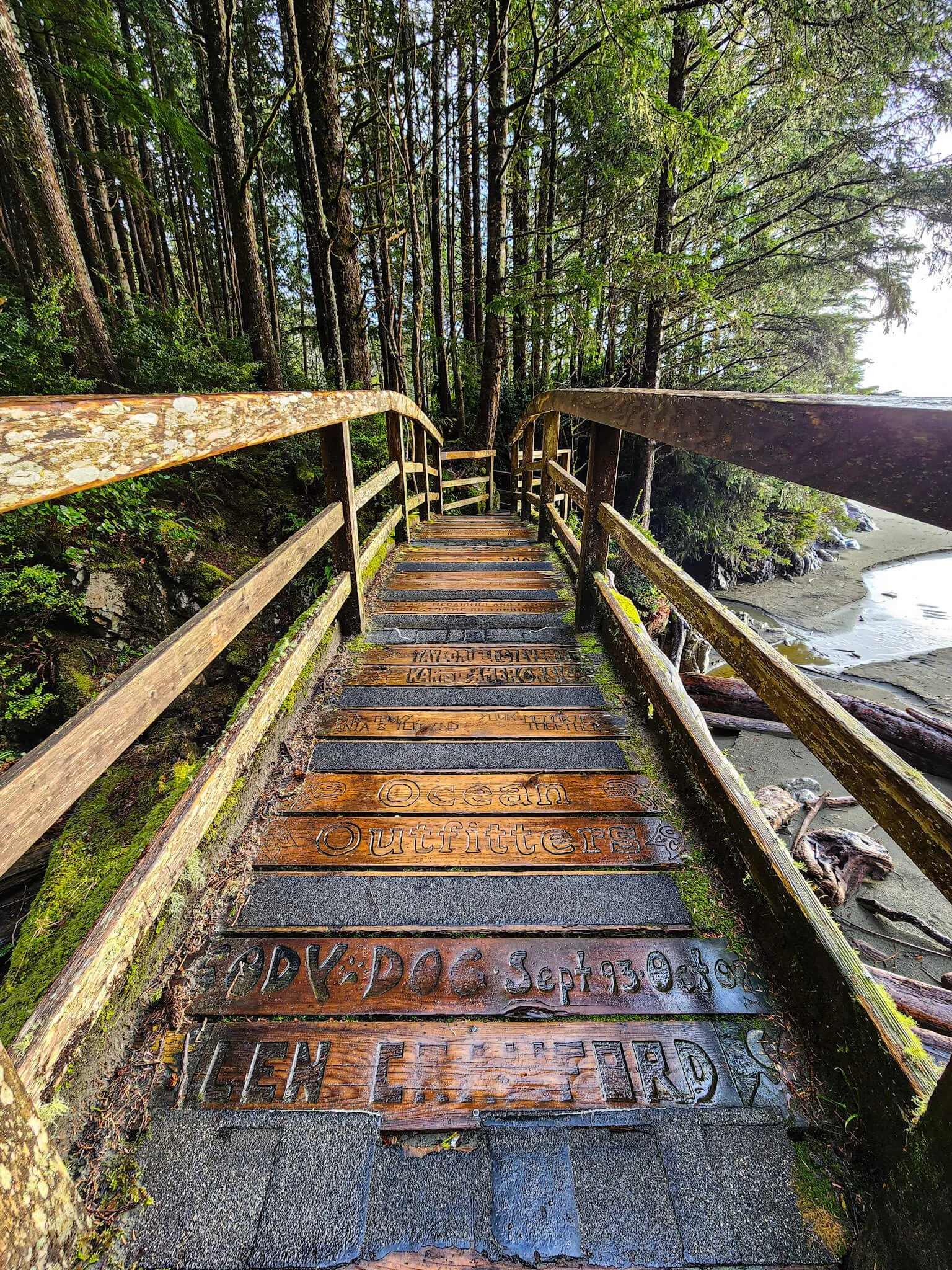 Tonquin Trail Boardwalk.jpg
