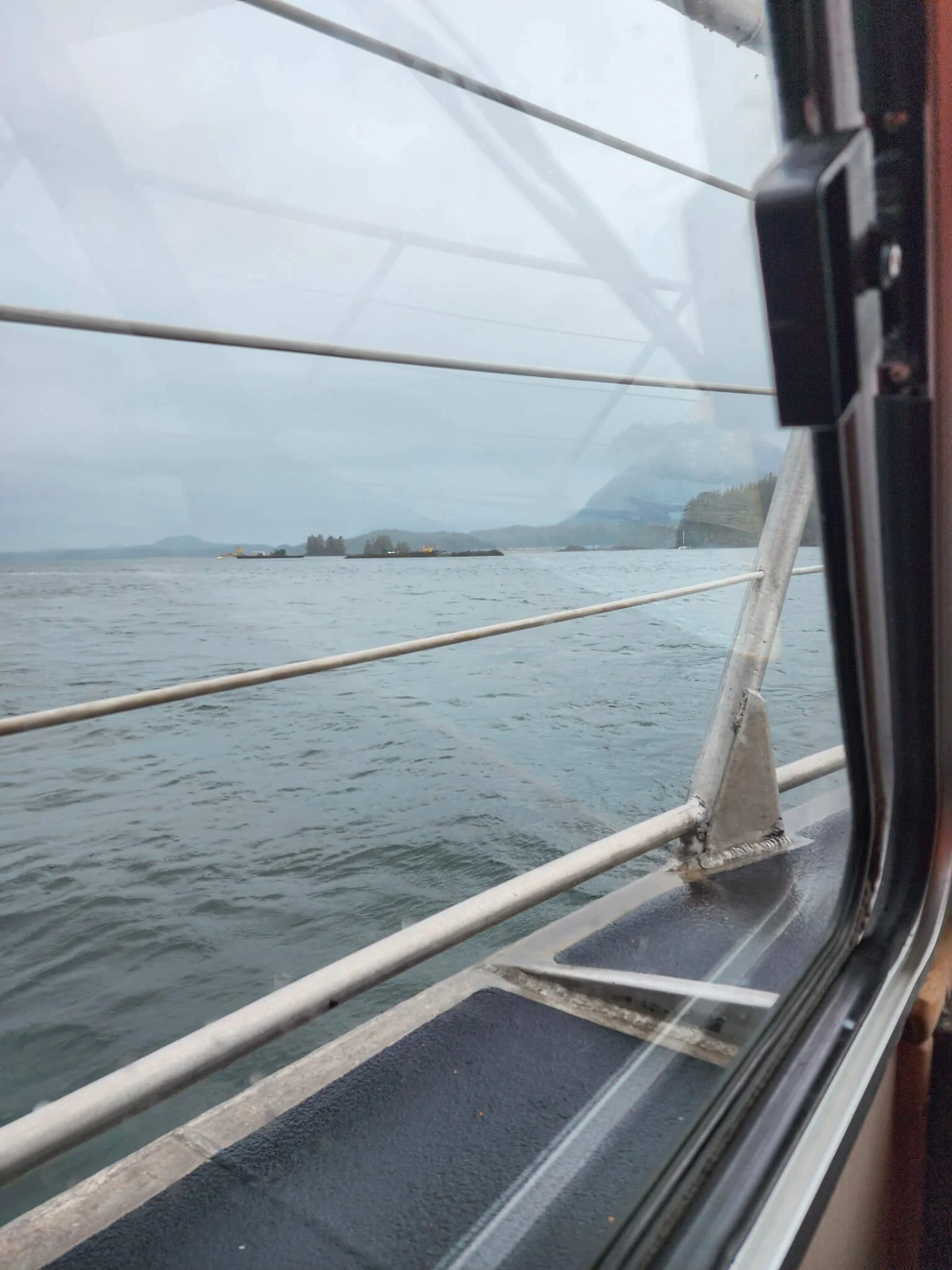 Whale Watching in Tofino.jpg