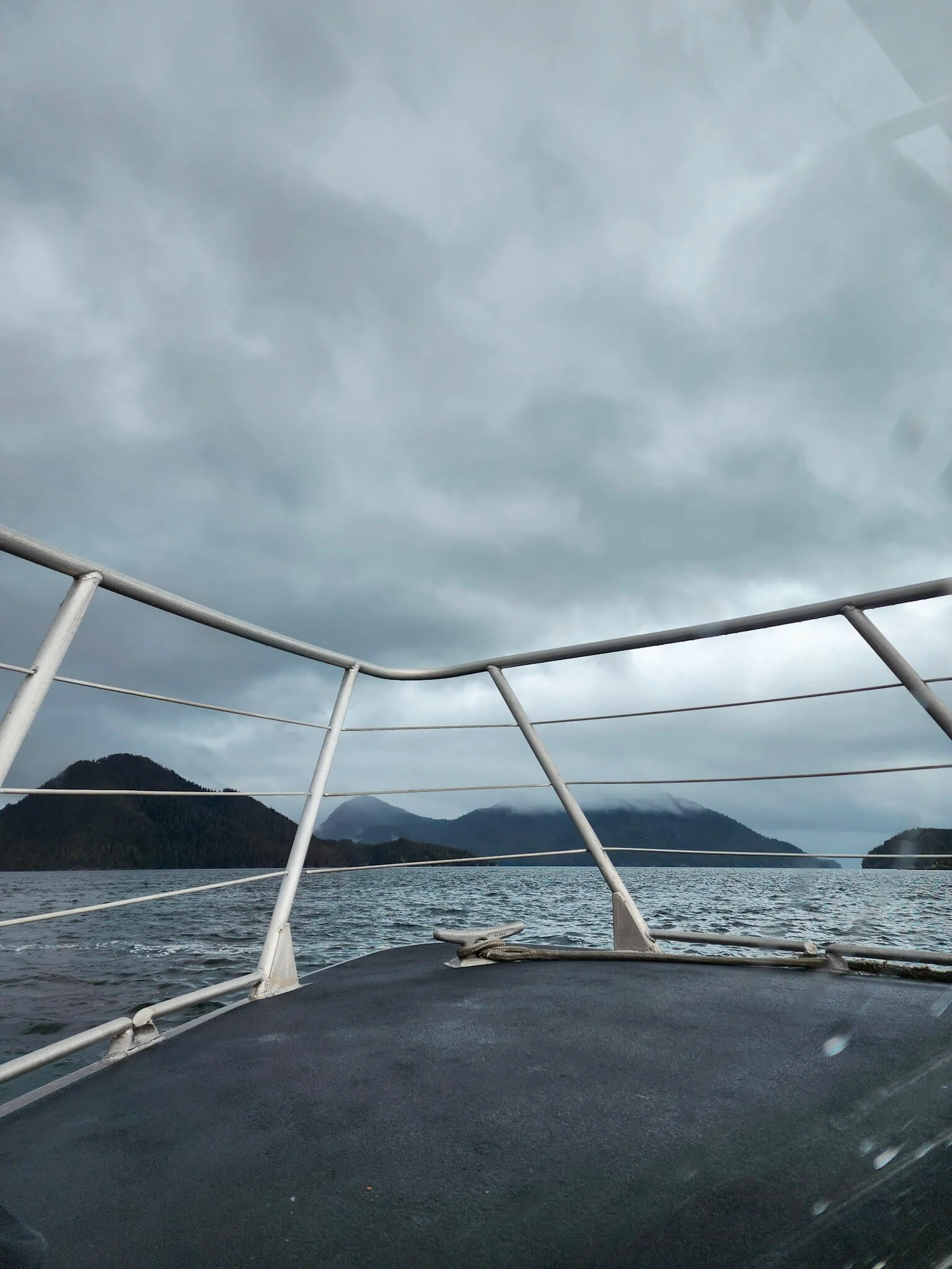 Tofino Whale Watching Tour Boat.jpg