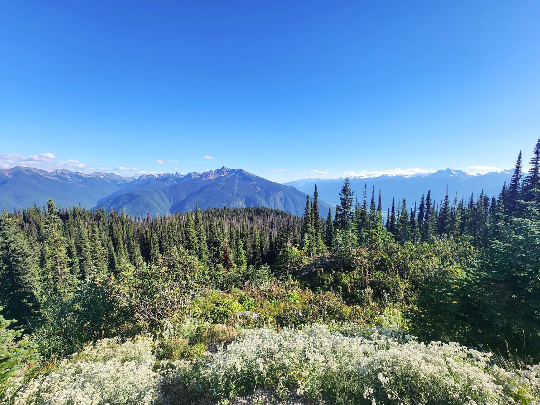 View of a Canadian mountain range from Revelstoke Lookout in British Columbia.