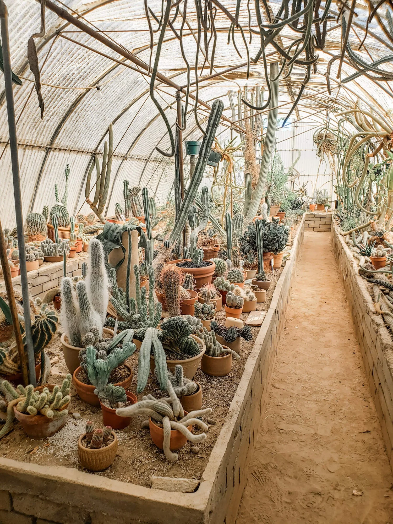 Escape to Paradise with this Palm Springs Weekend Getaway Guide — free download