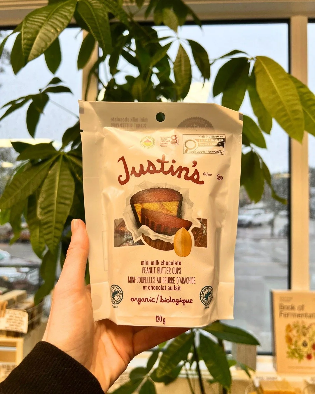 This whole week feels like a movie marathon kind of week 🍿

If you&rsquo;re curled up at home and ready for something snacky, we&rsquo;ve got treats! Think sweet, salty, crunchy, sippable, all the cozy night essentials waiting for you 🌱✨ 

#MovieNi